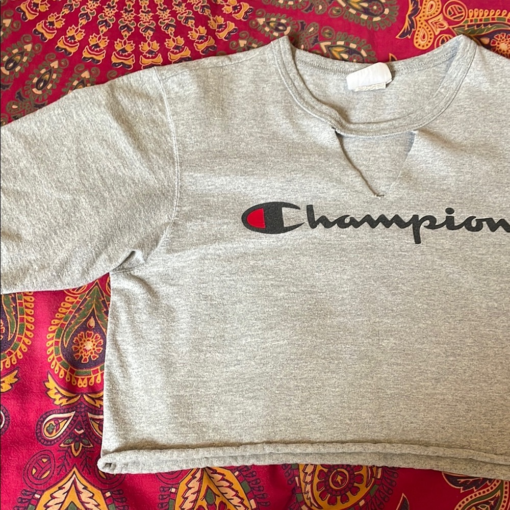 Champion Gray Crop Top sz M 🩶